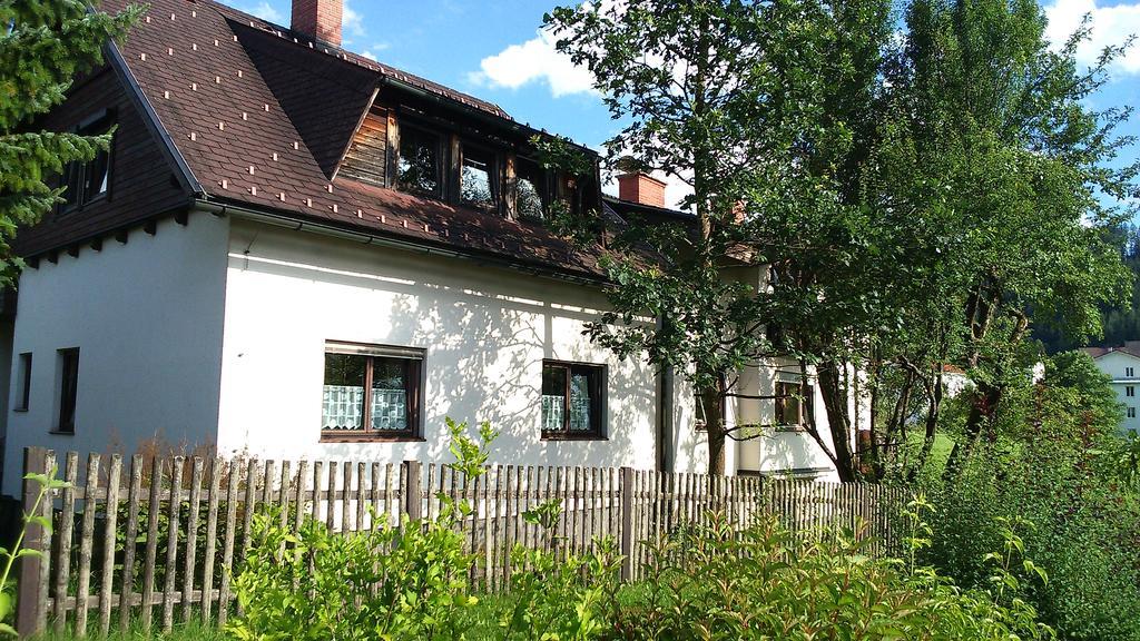 Haus Ruf Daire Windischgarsten Dış mekan fotoğraf